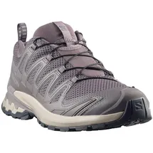 Salomon XA Pro 3D V9 Herren Dark Gull Gray / Cloudburst 44