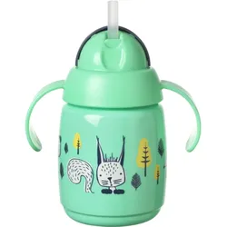 Tommee Tippee Superstar Straw Cup Tasse mit Strohhalm für Kinder 6m+ 300 ml