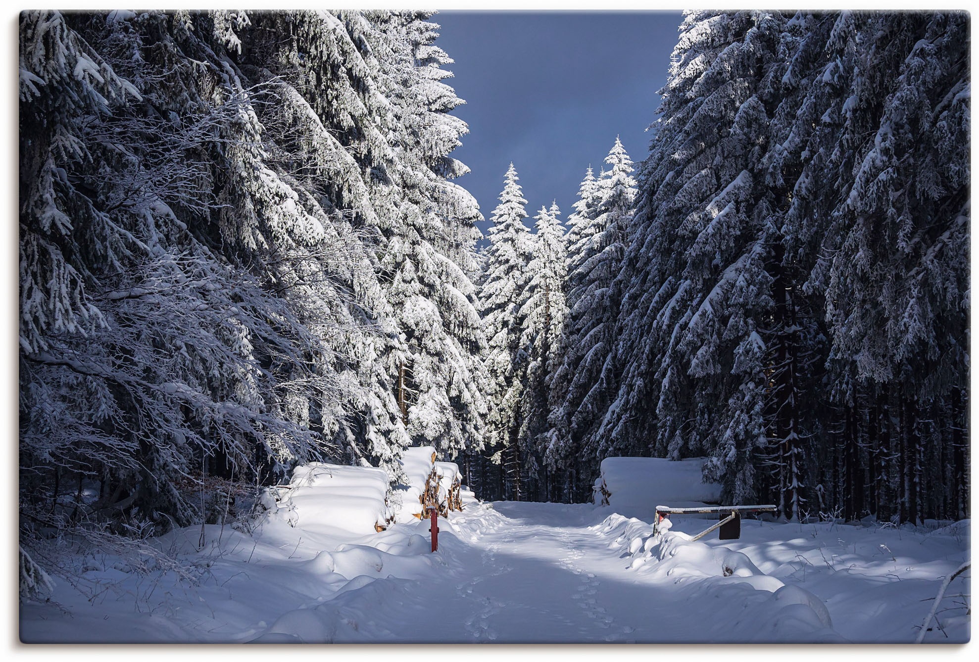 Artland Leinwandbild »Winter im Thüringer Wald II«, Waldbilder, (1 St.) Artland blau