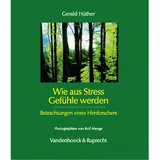 Vandenhoeck & Ruprecht Wie aus Stress Gefühle werden
