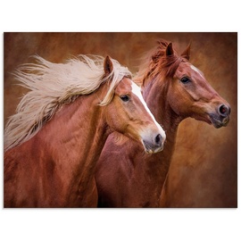 Artland Glasbild »Reinrassige Pferde I«, Haustiere, (1 St.), in verschiedenen Größen