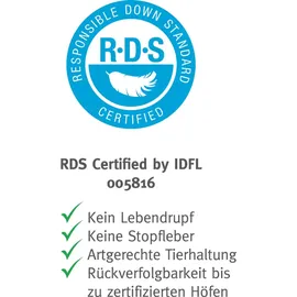 Paradies Daunendecke 135x200 cm Winterdecke Gabi 90, RDS Gänsedaunen - Weiß