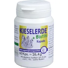 PHARMA PETER Kieselerde + Biotin Kapseln 60 St