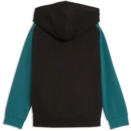 Puma Hoodie Black 116