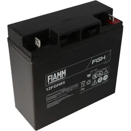 Fiam Blei-Akku FGH21803 1 St.