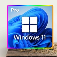 Windows 11 Professional