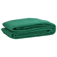 vidaXL Anhängernetz Grün 3,5 x 5 m HDPE