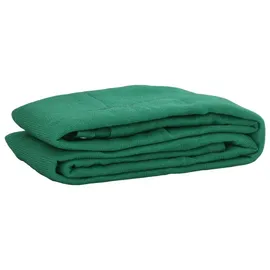 vidaXL Anhängernetz Grün 3,5 x 5 m HDPE