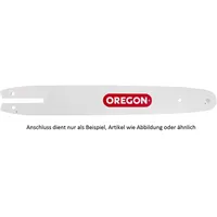 Oregon Sägeschiene Double Guard 160SDEA095
