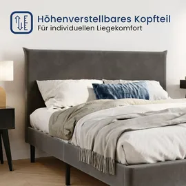 home collective Polsterbett 140x200 und 160x200 cm mit Lattenrost und weichem Bezug, Bettgestell 140x200 cm, Grau, Samtbezug - Grau