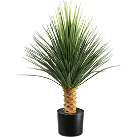 Creativ green Kunstpflanze CREATIV GREEN "Yucca Rostrata auf Stamm", grün (grün, grau), H:85cm, Kunstpflanzen, Kunstpflanze, auf Stamm
