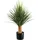 Creativ green Kunstpflanze CREATIV GREEN "Yucca Rostrata auf Stamm", grün (grün, grau), H:85cm, Kunstpflanzen, Kunstpflanze, auf Stamm