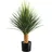 Creativ green Kunstpflanze CREATIV GREEN "Yucca Rostrata auf Stamm", grün (grün, grau), H:85cm, Kunstpflanzen, Kunstpflanze, auf Stamm