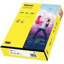 Inapa farbiges Druckerpapier, buntes Papier tecno Colors: 120 g/m2, A4, 1.250 Blatt (5x250), gelb