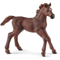 Schleich 13857 - Horse Club - Pferd Englisch Vollblut Fohlen