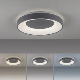 just light. JUST LIGHT ANIKA LED/30W/230V + Fernbedienung