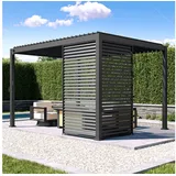 MIRADOR Lamellenwand Mirador 1,23 m Anthrazit 1 x 1,23 m