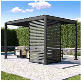 MIRADOR Lamellenwand Mirador 1,23 m Anthrazit 1 x 1,23 m