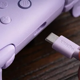 8bitdo Ultimate 2C Controller Lila für Windows
