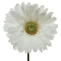 Decoris Gerbera Variante: Weiß
