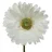 Decoris Gerbera Variante: Weiß