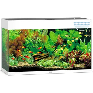 juwel® aquarium Rio 125 LED Aquarium