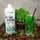 Best Body Nutrition Low Carb Vital Drink Waldmeister 1000 ml