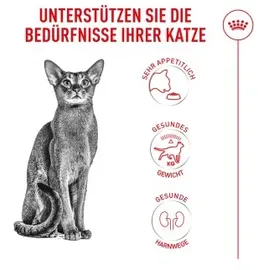 Royal Canin Fussy Exigent 10 kg