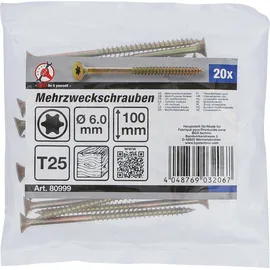 BGS Mehrzweckschrauben T-Profil (für Torx) T25 6,0 x 100 mm 20 Stück
