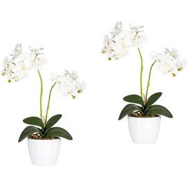 Creativ green Kunstpflanze Phalaenopsis Orchidee, Creativ green, Höhe 50 cm weiß