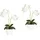 Creativ green Kunstpflanze Phalaenopsis Orchidee, Creativ green, Höhe 50 cm weiß