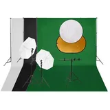 vidaXL Fotostudio-Set mit Leuchten, Hintergrund und Reflektor