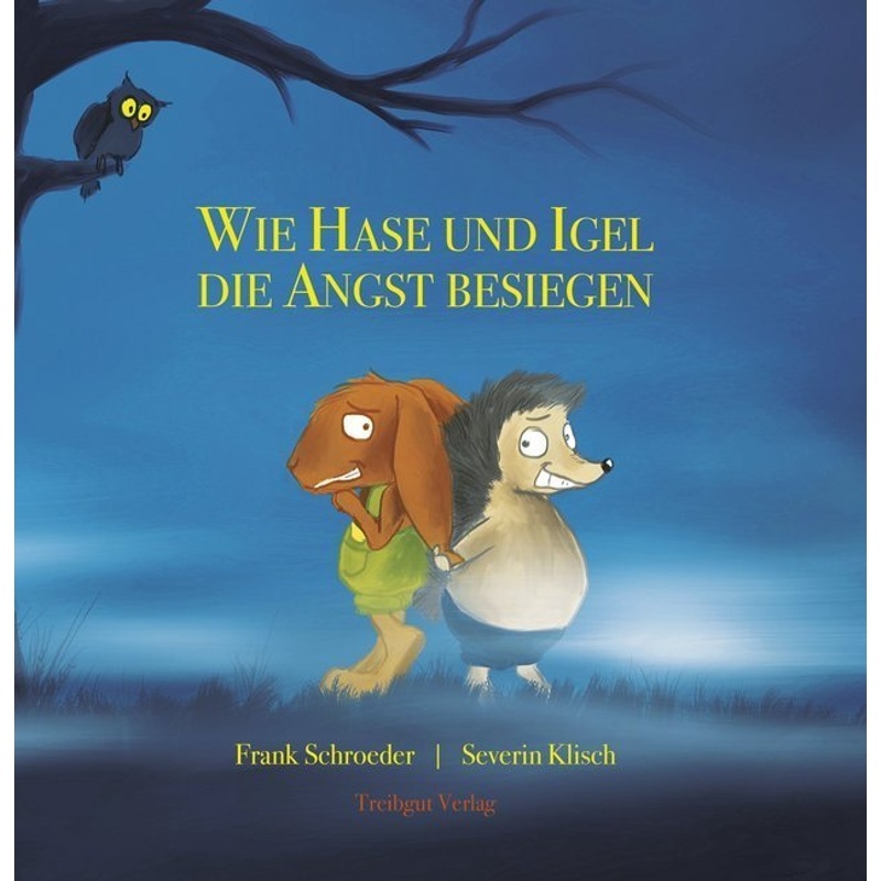 Hase Und Igel / Wie Hase Und Igel Die Angst Besiegen - Frank Schroeder, Gebunden