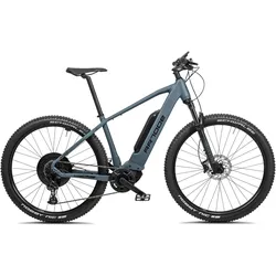 E-Mountainbike 29 Zoll RR700e Bosch Performance CX 545 Wh grün matt, EINHEITSFARBE, L