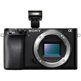 Sony Alpha 6100 + E PZ 16-50 mm
