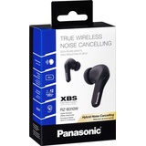 Panasonic RZ-B310WDE-K