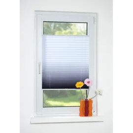 LIEDECO Plissee Farbverlauf 60 x 130 cm grau