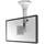 NEWSTAR FPMA-C025 10-26" silber