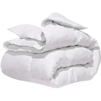 NORDIC SCHILLER 140 x 200 Daunendecke, Ganzjahresdecke, Atmungsaktiv, Feuchtigkeitsregulierend, Nachhaltige Daunenfüllung, Maschinenwaschbar, Inklusive Aufbewahrungstasche