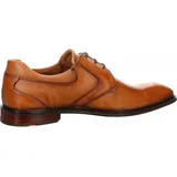 LLOYD braun 8,5