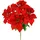 I.GE.A. Kunstblumenstrauß I.GE.A. "Bouquet Poinsettia", rot, B:35cm H:50cm L:35cm, Polyester, Kunstpflanzen, Weihnachtsstern Christstern Weihnachtsdeko Kunstblume Weihnachtsblume