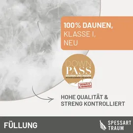 SPESSARTTRAUM Warme Ganzjahres-Daunendecke RUBIN in Weiß