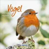 Korsch Verlag Vögel 2026