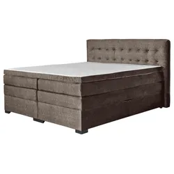 Boxspringbett Madeira in Braun ca. 200x200cm