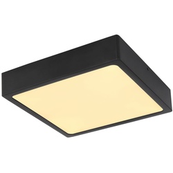 Echo Deckenleuchte Metall Schwarz Matt, Led