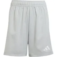 Adidas Tastigo 25 Trainingsshorts Kinder JN7175 - team light