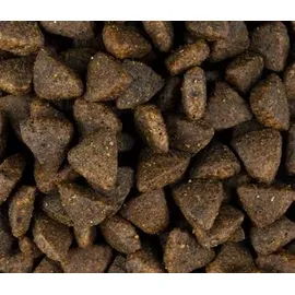 CARNILOVE Adult Salmon 1,5 kg