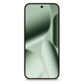 Google Pixel 10 Pro XL 256 GB Jade