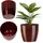 Kadax Blumentopf 14 x 14 x 125 cm Rot