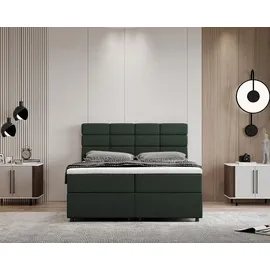 panda möbel Boxspringbett 140 x 200 cm Dunkelgrün